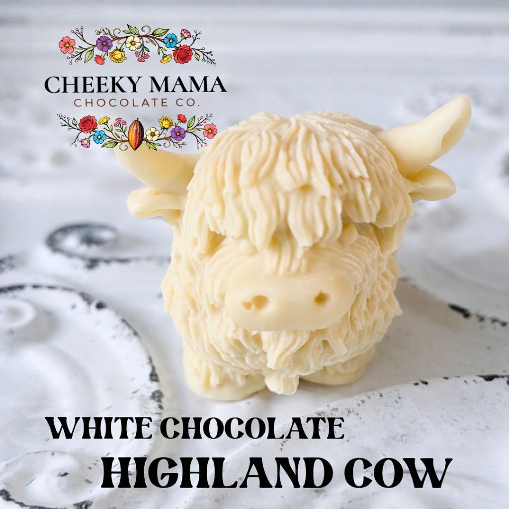Highland Cow