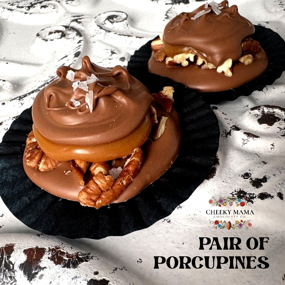 Pair of Porcupines