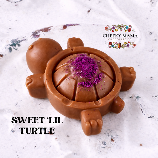 Sweet 'Lil Turtle